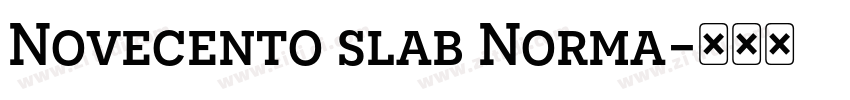 Novecento slab Norma字体转换